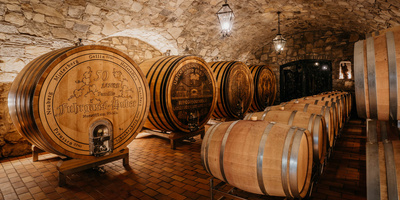 Ein Steinkeller mit großen hölzernen Weinfässern und kleineren Fässern, die auf einem gefliesten Boden aufgereiht sind.