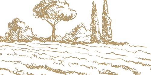 Eine einfache Strichzeichnung von Bäumen und Feldern in einer ländlichen Landschaft.