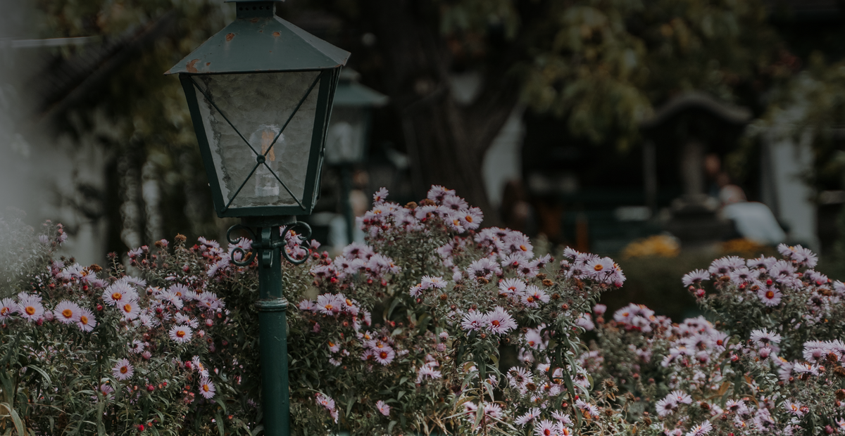 Ein alter Laternenpfahl steht inmitten blühender lila und rosa Blumen in einem Garten.