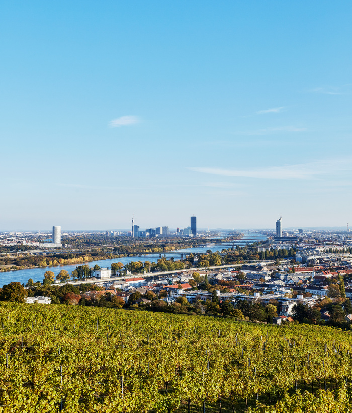 Eine Stadtlandschaft mit einem Fluss, modernen Gebäuden und einem klaren blauen Himmel im Hintergrund.