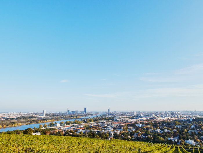 Panoramablick auf die Skyline einer Stadt mit einem Fluss und grünen Feldern unter einem klaren blauen Himmel.