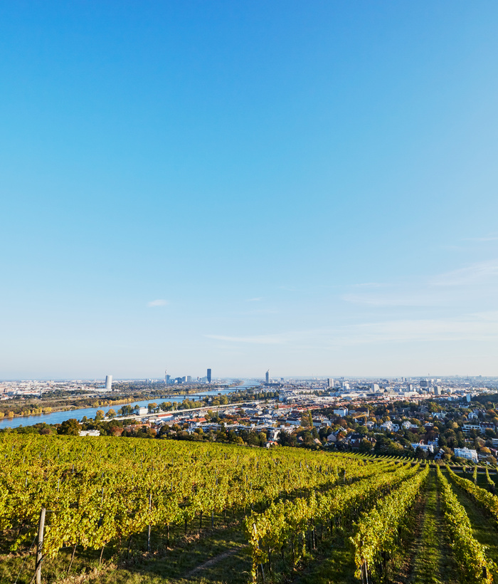 Panoramablick auf die Skyline einer Stadt mit einem Fluss und grünen Feldern unter einem klaren blauen Himmel.